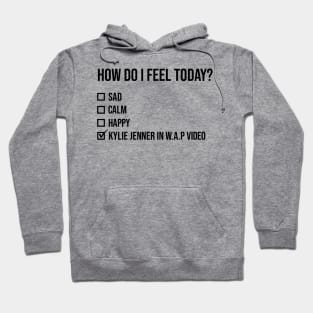 WAP- Kylie Jenner Mood Funny Quote Hoodie